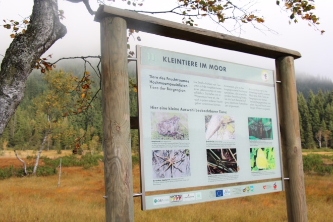 Schautafel am Hochmoor