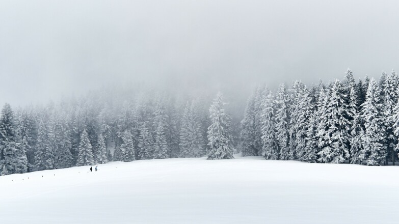 Buchhüttenschachten