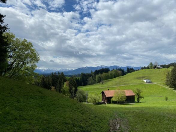 Typische Alplandschaft im Allgäu - im Hintergrund auf dem Hügel die Wachters Alpe