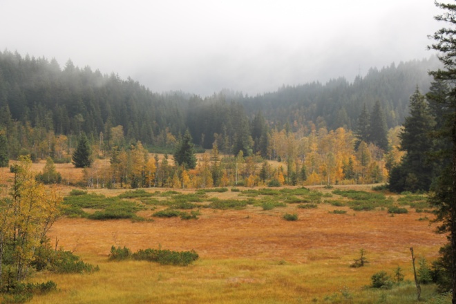 Hochmoor in Herbststimmung