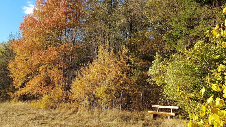 Ludwigs Bank Kilianshof
