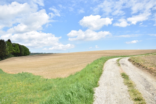 Blick in die Landschaft bei Stagl