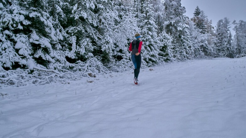 Wanderung auf der ArberhochstraÃe