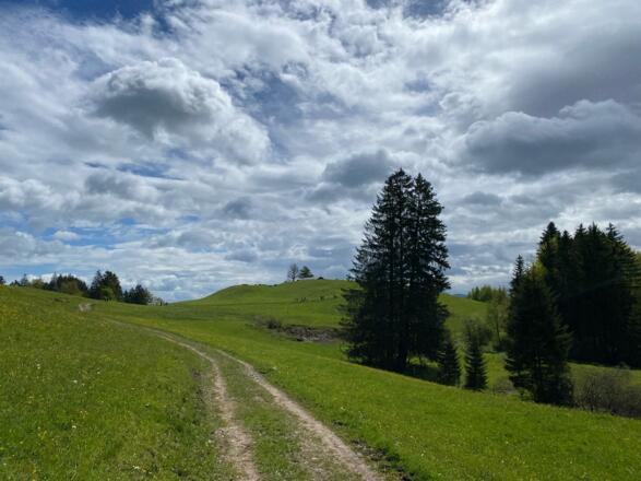 Auf dem Weg zur Wachters Alpe