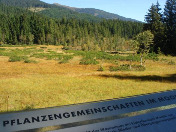 Hochmoor in Herbststimmung
