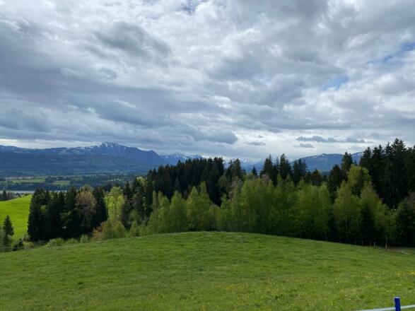 Blick von der Wachters Alpe nach Süden auf den Allgäuer Hauptkamm und den Grünten