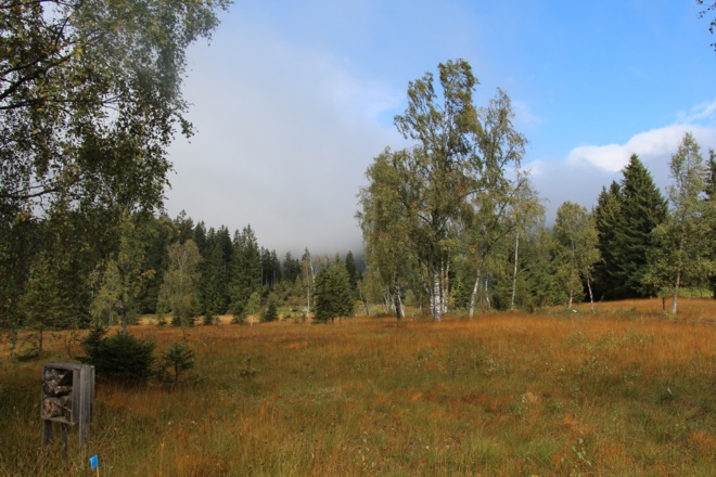 Hochmoor in Herbststimmung