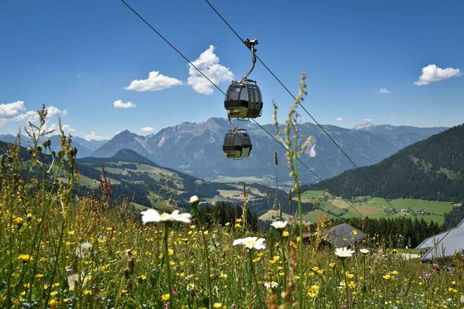 sommerbetrieb_gondel_wiedersbergerhorn
