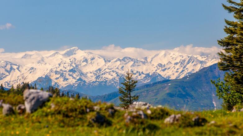 Blick zum Großglockner