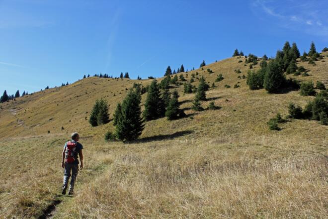 Die freien Wiesenhänge der (verfallenen) Kirchmair Nieder Alm