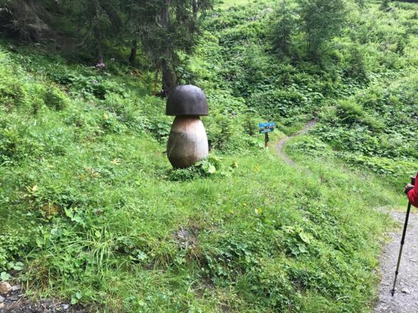 Pilzlehrpfad