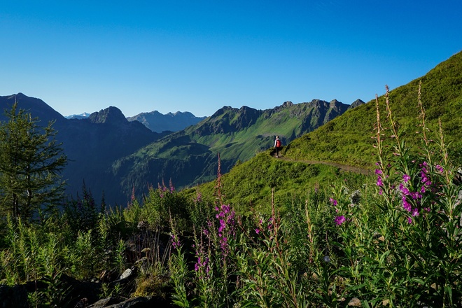 Wunderschöner Ausblick am Panoramaweg