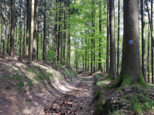 Weinstraße Kilianshof