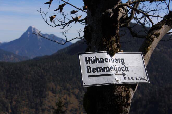 Eingewachsenes Schild am Wegesrand