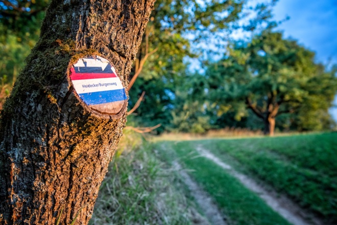 Markierung Heidecker Burgenweg
