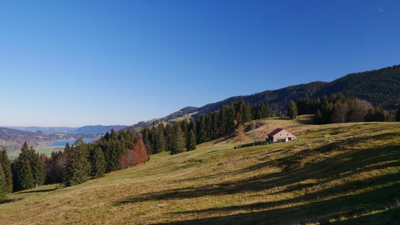 Hochsiedel-Alpe