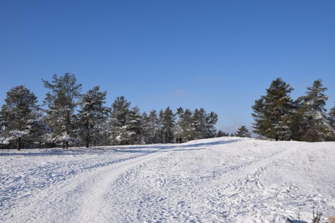 Görauer Anger im Winter (c) Heidi Bauer