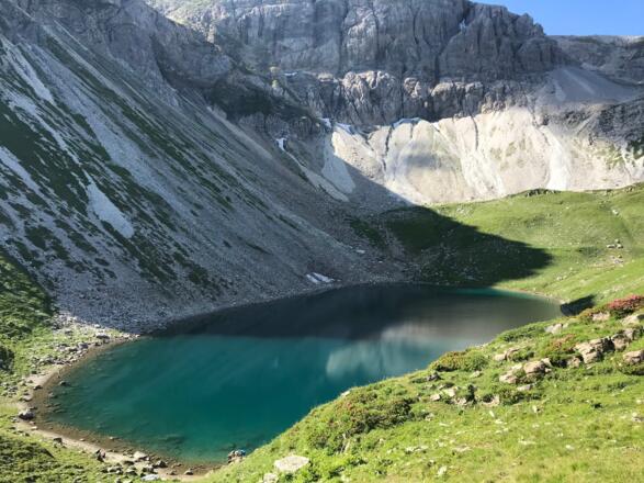 Wildsee
