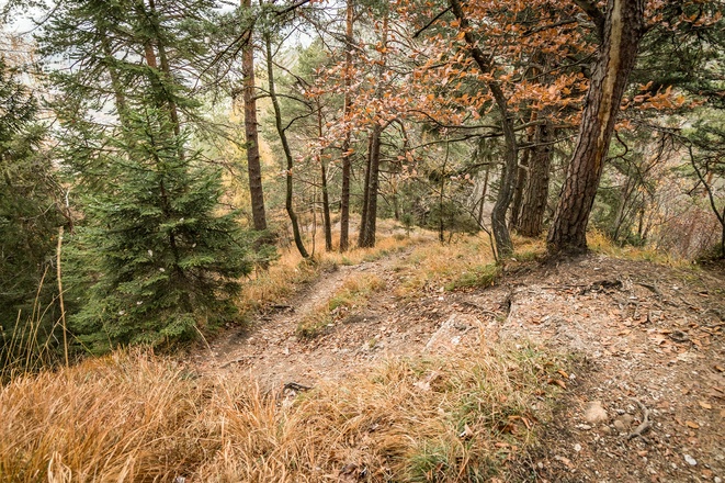 Wanderweg zum Dötzenkopf