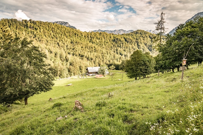 Die Höllenbachalm eingebettet in herrliche Landschaft