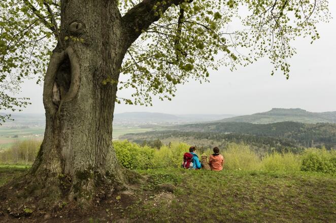 Blick vom Veitsberg auf den Staffelberg (c) Andreas Hub