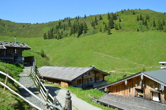 Kohlgrubenalm