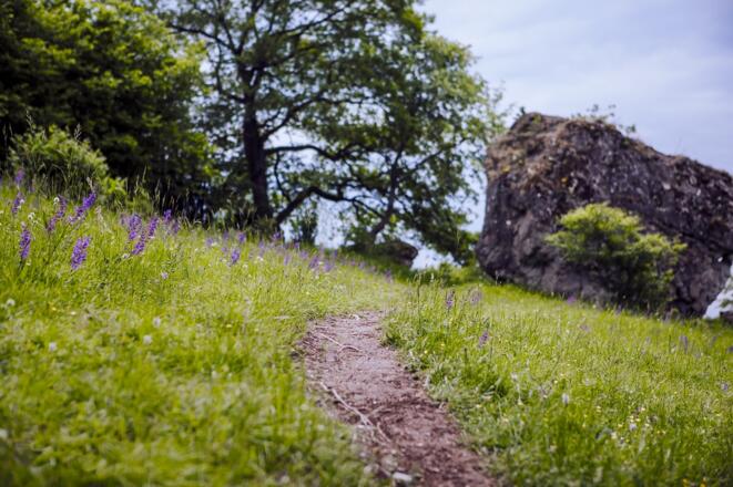 Schmale Pfade führen rund um den Staffelberg