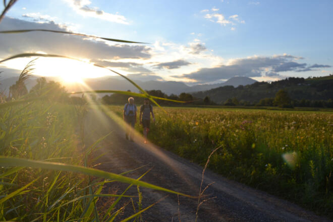 Spazieren im Ruggeller Riet