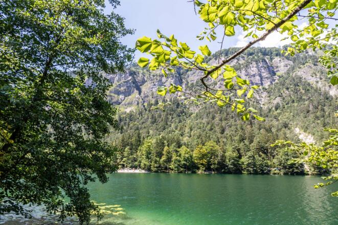 Der Thumsee im Sommer