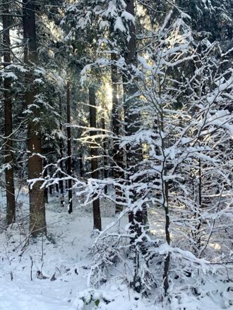 Der Winter verwandelt eine Landschaft.