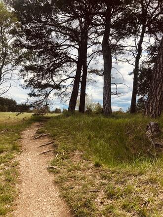 Trekking Wege Fröttmaninger Heide