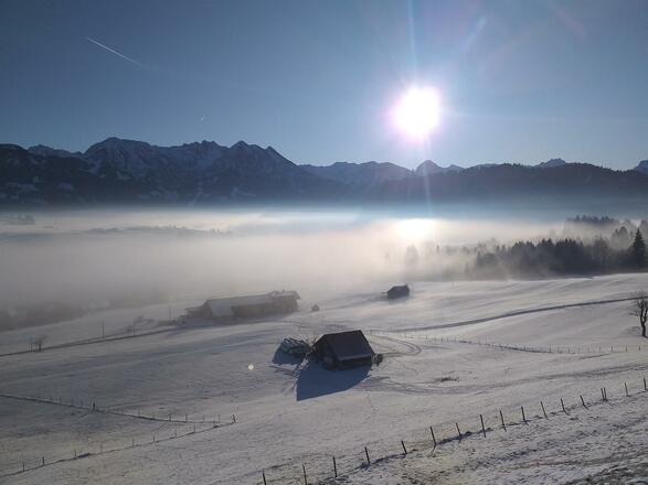 Sitzplatz in der Loge der Naturschauspiele