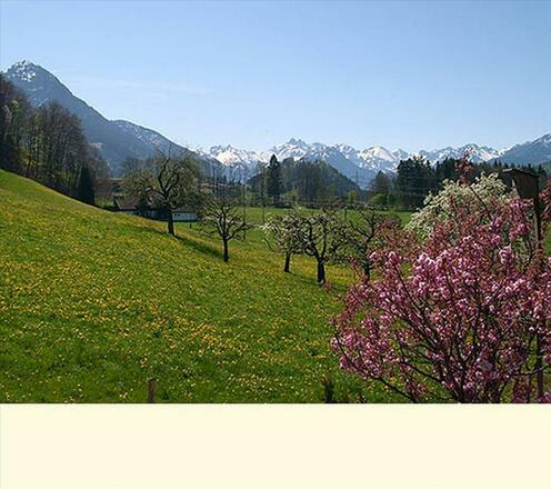Aussicht auf die Allgäuer Berge