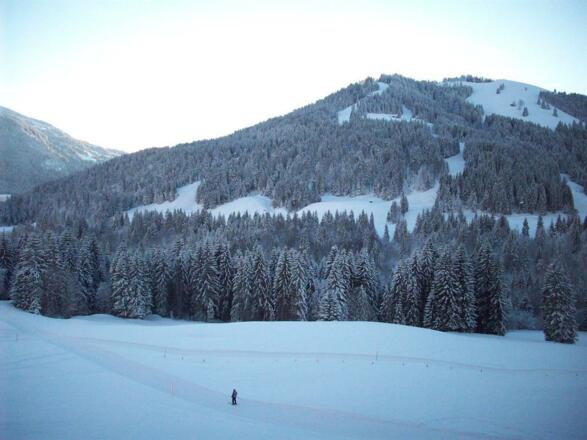 Blick Richtung Skigebiet Gelbhansekopf