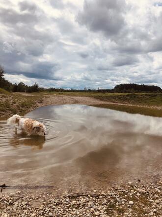 Fröttmaninger Heide: Spiegelung von Wolken und Landschaft