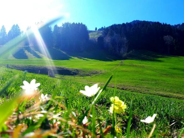 Direkt am Wanderweg zum Sonderdorfer Kreuz