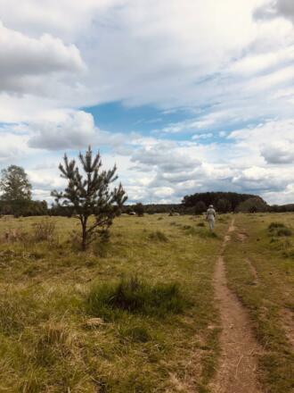 Landschaft Fröttmaninger Heide