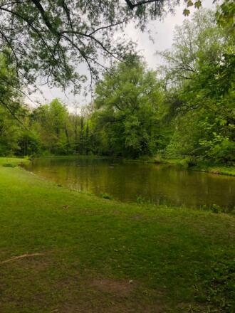 Teich kurz vor der St.Emmeramsmühle