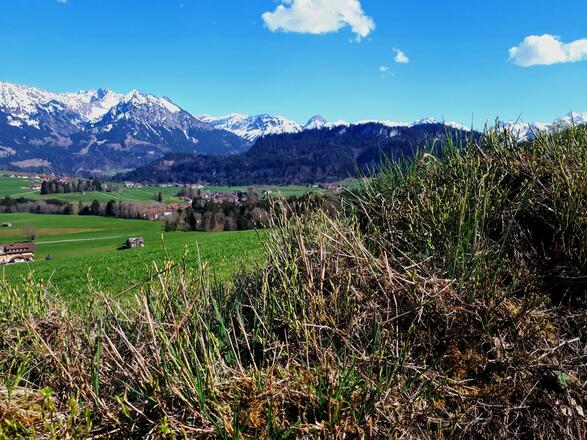 Aussicht vom Wanderweg hinter dem Haus