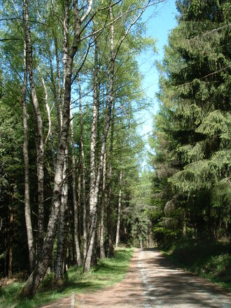 Max-Oscar-Arnold-Wanderweg am Muppberg
