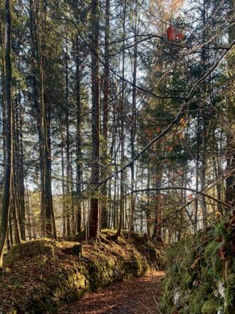 Trockensteinmauer am Soleweg, Wege brauchen Schutz
