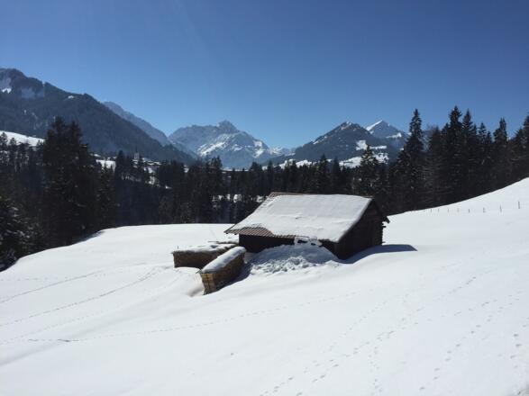 Winterwanderung in der Schwende