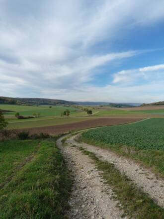 Landschaft des Nördlinger Ries