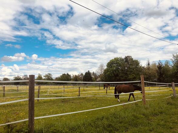 Pferdewiese bei der Trattoria Senza Nome