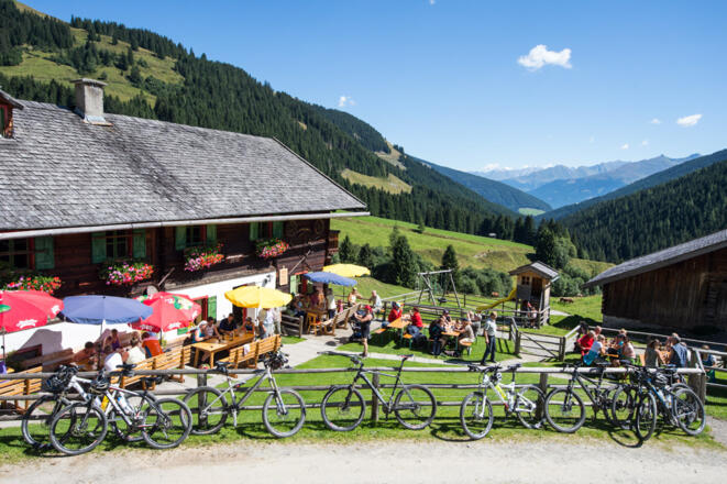 Die Baumgartenalm im Mühlbachtal