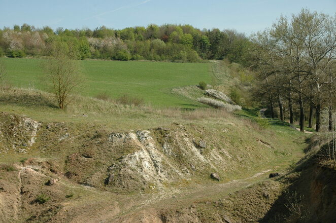 Geotope Klosterberg