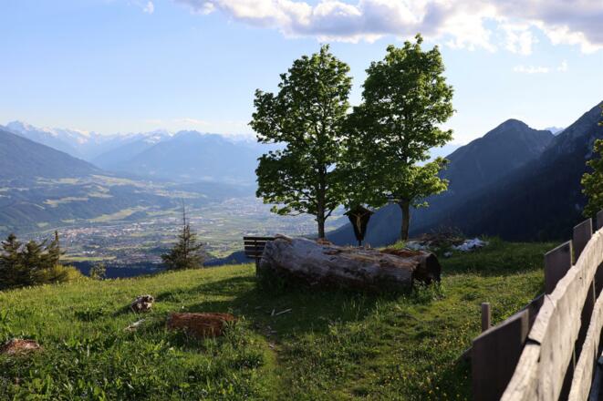 Hinterhornalm Gnadenwald Tirol  Region Hall-Watten