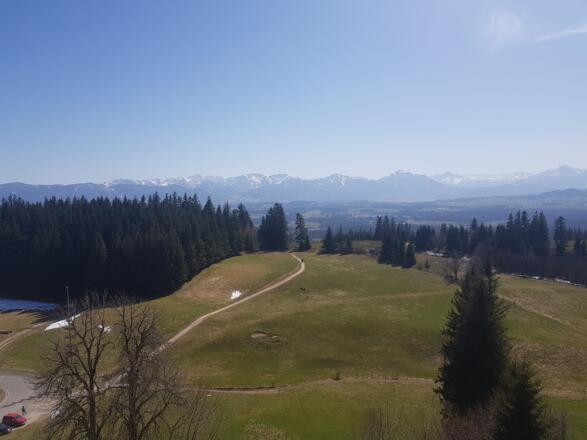 Blick vom Auerberg in den Schlossspark