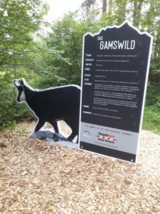 Wildtierlehrpfad Neukirchen