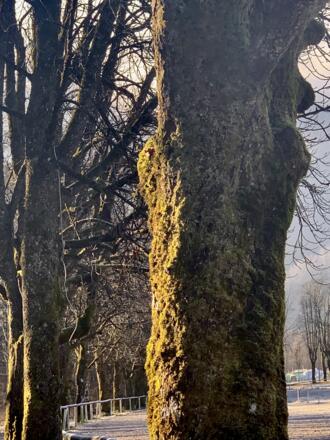 Trabrennbahn Bad Ischl